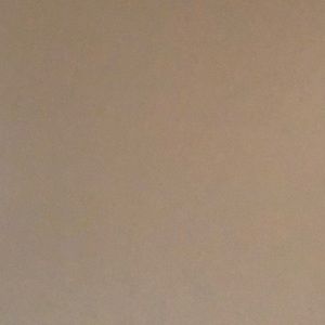 Meet your Posher, Radeana